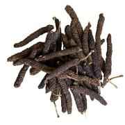 Lindi Pepper