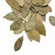 Dhanraj Bay Leaves