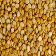 Chana Dal