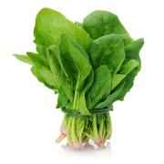Spinach (Palak)