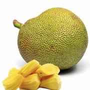 Jack Fruit 400g