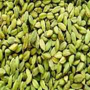DR BL CARDAMM