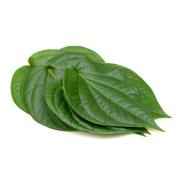 Paan