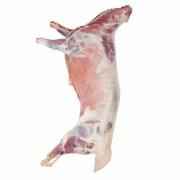 Whole Body Goat