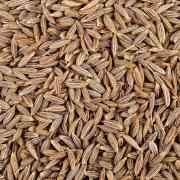 DR CUMIN WHL