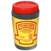 TAMICON CONCENTRATE