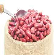 DR KIDNEY BEANS