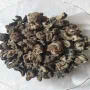 DR AWLA DRY