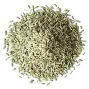 Deer Fennel Seeds