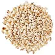 DHANRAJ BARLEY