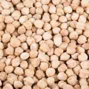 Garbanzo