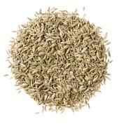 GURU FENEEL SEEDS