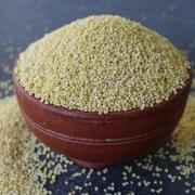 PEARLED LITTLE MILLET