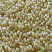 PEARLED PROSO MILLET