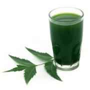IMPROVA NEEM JUICE