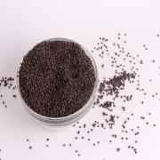 DR MUSTARD SEEDS