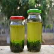 NATURAL LEAF HAIR OIL