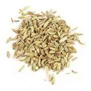 Shreeji Fennel Seed