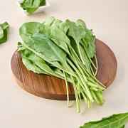 Palak Vegetable