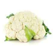 Fresh Gobi