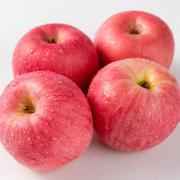 FUJI APPLE