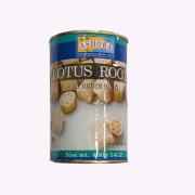 Ashoka Lotus Root Cut