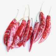 SWAD GUNTUR SANNAN CHILLI