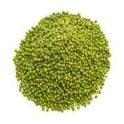 DHARTI MOONG WHOLE