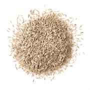 Dharti Cumin Seed