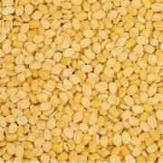 Dharti Moong Dal India