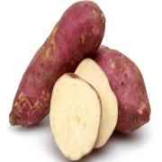SWEET POTATO INDIAN