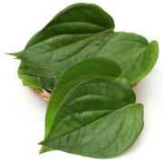 PAAN LEAVES