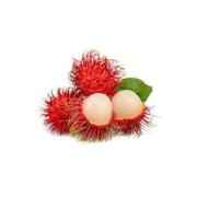 Rambuten
