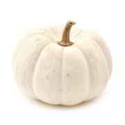 Pumpkin White