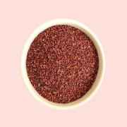 Rego Finger Millet