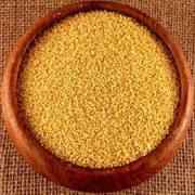 Rego   Foxtail Millet