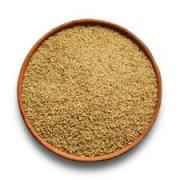 Rego Little Millet