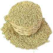 Rego Pearl Millet