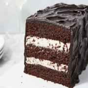 VADILAL CHOCOLATE CASSATTA ICE CREAM BLOCK