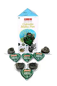 CHANDAN CALCUTTA MITHA PAN