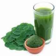 IMPROVA MORINGA JUICE