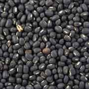 Ankur Urad Dal
