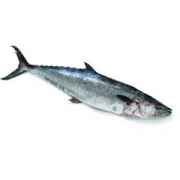 Bell King Fish