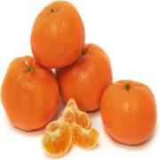 Murcott Mandarins