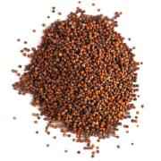 SWAGAT FINGER MILLET