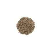 CUMIN SEED