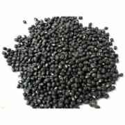 SWAGAT URAD WHOLE BLACK