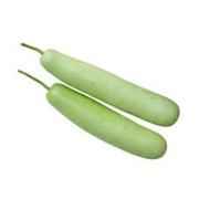 Indian Long Squash