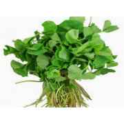 Tandelo Leaves/Bhaji