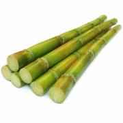 Sugarcane Whole